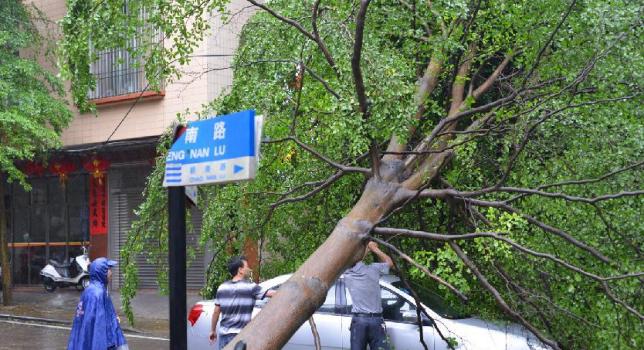 Trung Quốc Sơ tán khẩn cấp tránh bão Utor